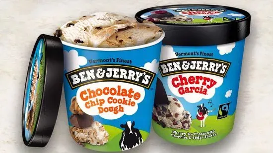 BEN & JERRY'S ICE CREAM PINT