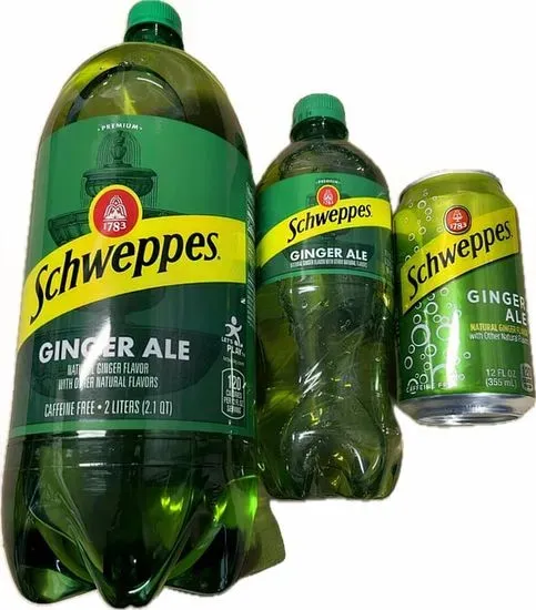 GINGER ALE 2 LITER