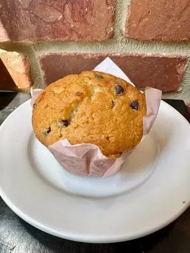 Chocolate Chip Muffin