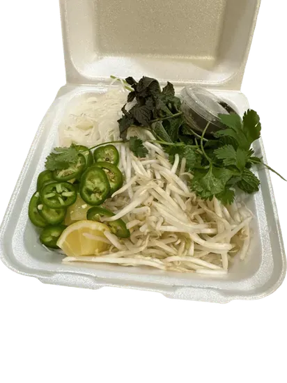 Pho-beef or Chicken Noodle Soup