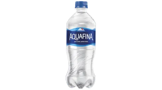 20oz Bottled Water