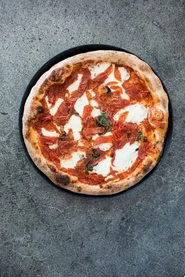 8" Marci-Roni