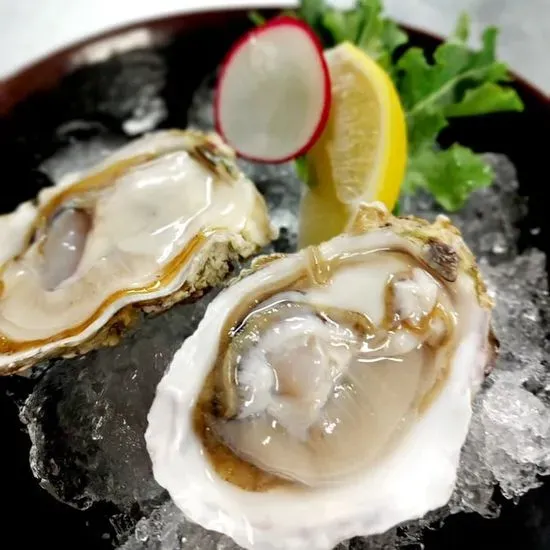 Oyster Half Shell