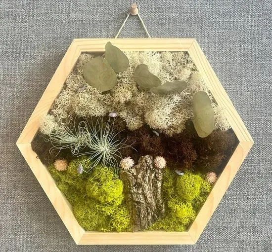 HANGING MOSS ART 3/23 (SUN) 3:30PM