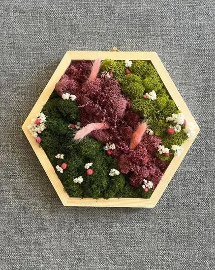 HANGING MOSS ART FOR TWO (GIFT OR GROUP))