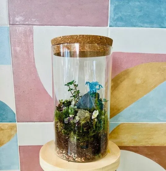 ENCLOSED LIVING MOSS TERRARIUM 3/16 (SUN) 3:30PM