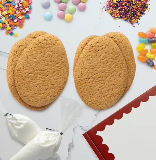 Egg Gingerbread Cookie Decorating Kit