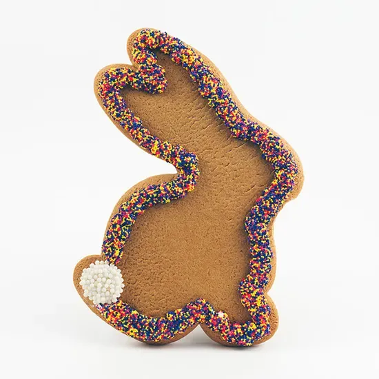 Jumbo Bunny