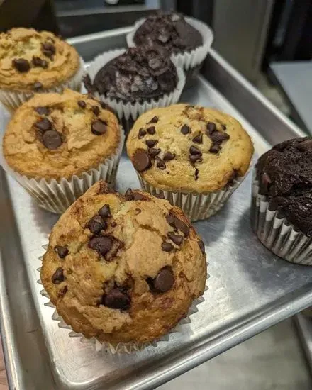 Jumbo Chocolate Chip Muffin