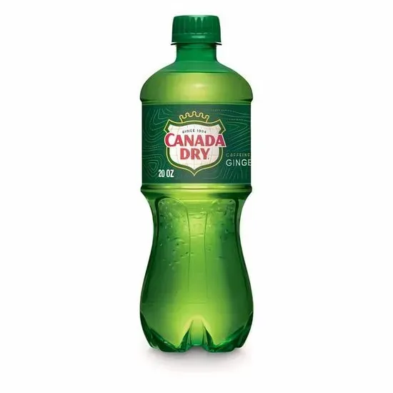 Ginger Ale (20 oz) 