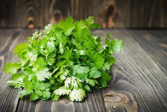 Cilantro