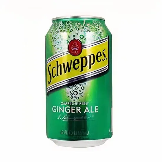 Can Ginger Ale