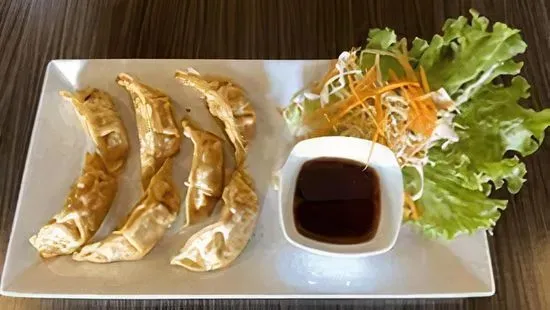 Chicken Dumplings