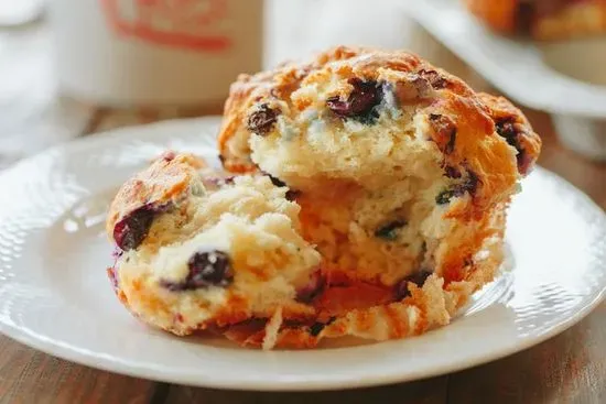 Blueberry Muffin