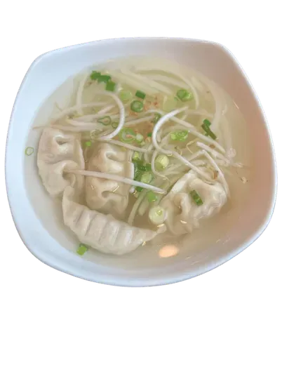 Dumpling Soup with Noodles 