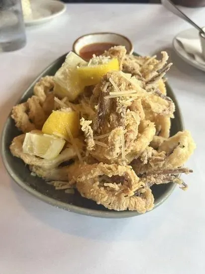 Calamari Fritti