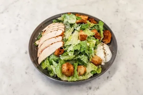 Chicken Caesar Salad