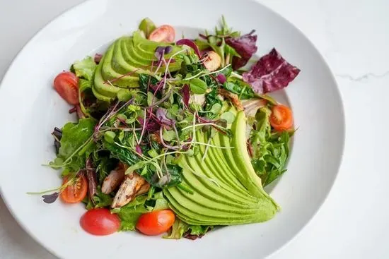 Avocado Grilled  Chicken Salad