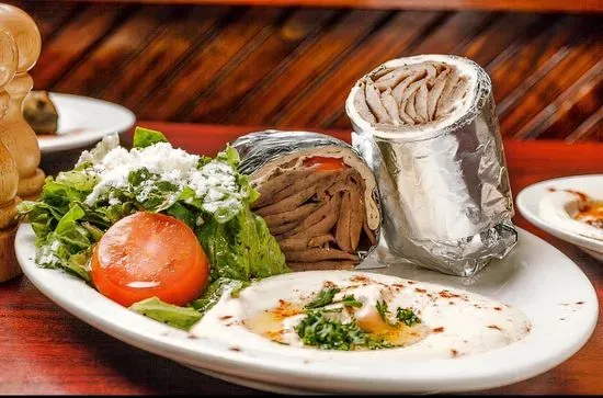 Gyro Sandwich Plate