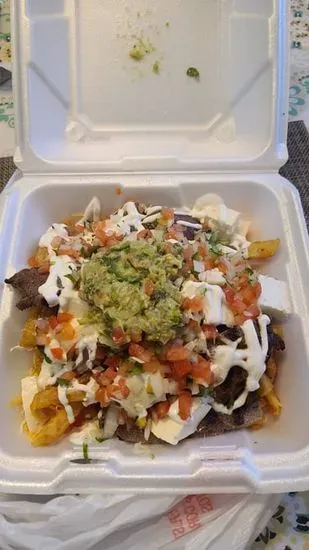 B-15 CARNE ASADA FRIES