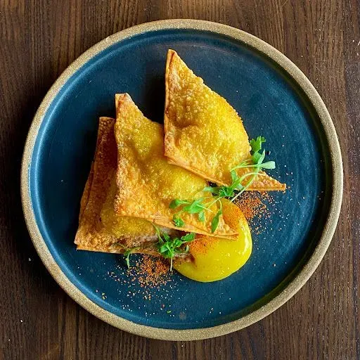 Rangoon "Ravioli"
