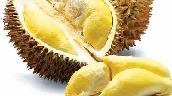 DURIAN SMOOTHIE