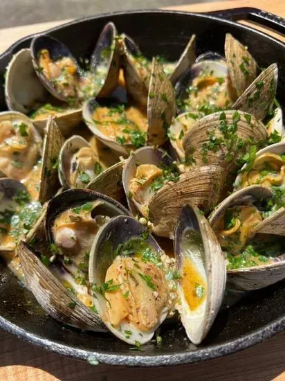 Clams in Garlic and Cilantro