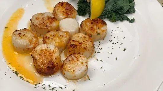 Scallops