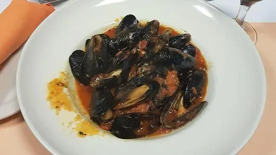 Mussels