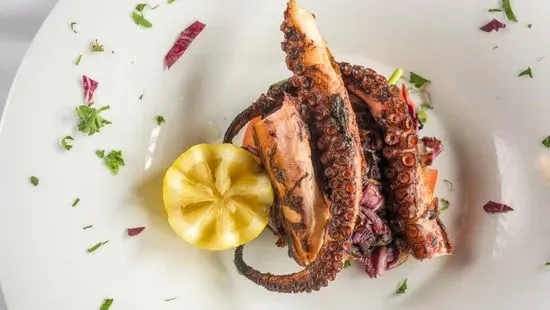 Grilled Octopus