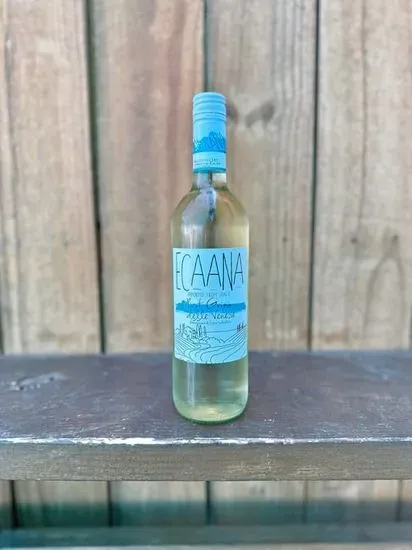 Ecaana - Italian Pinot Grigio (Alcoholic)