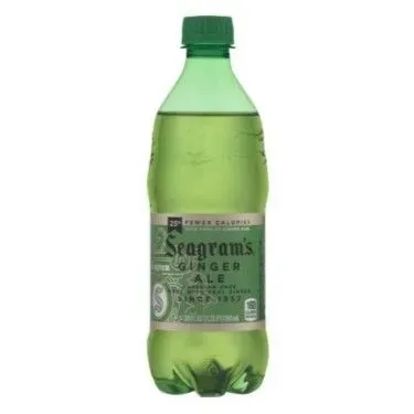 Ginger Ale 20 oz Bottle