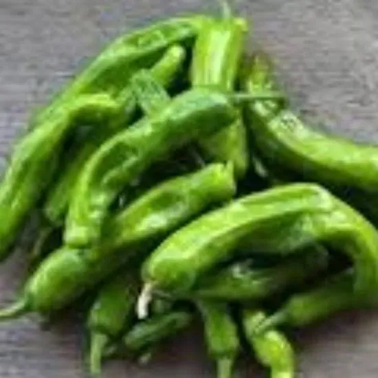 Japanese Shishito peppers App