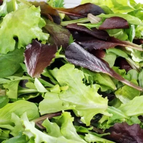 Mix Green Salad Tray with ginger dressing