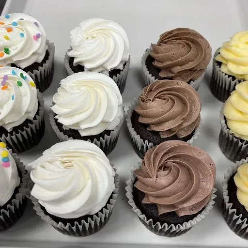 Chocolate Cupcake