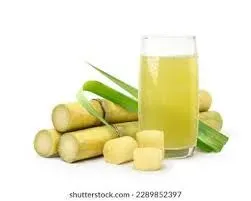 Fresh SugerCane Juice 16oz