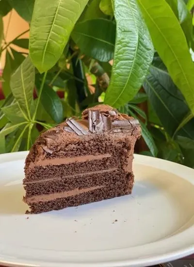 Chocolate Cake Slice