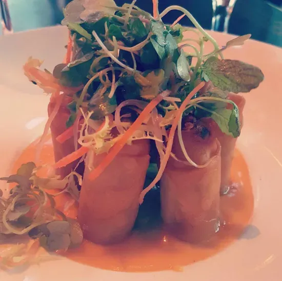 Vegetable Spring Roll