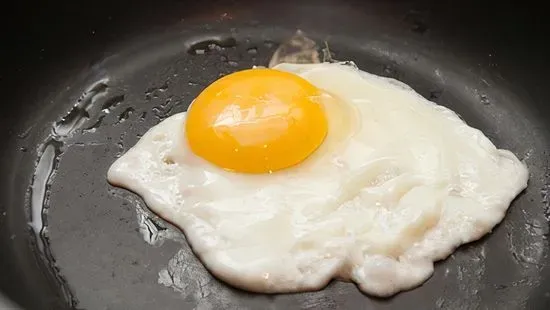 Egg