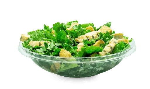 Grilled Chicken Salad