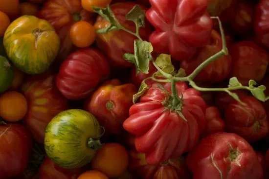 8oz roasted tomato salsa