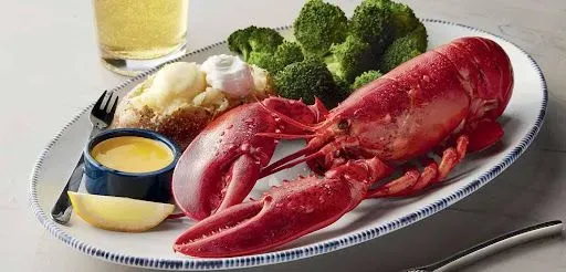 Live Maine Lobster