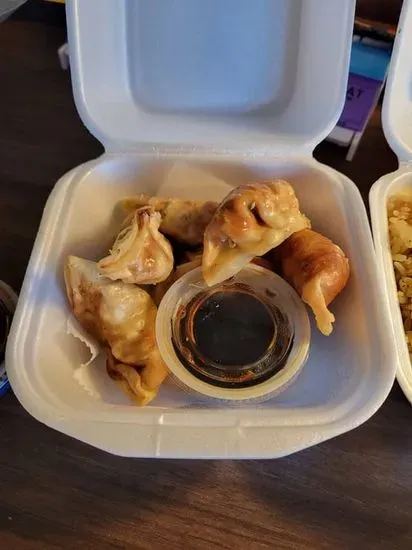 Gyoza Dumplings