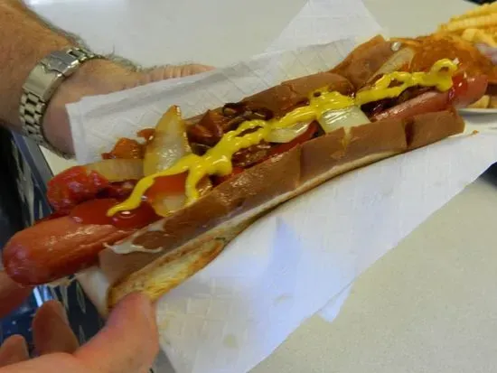 Long Italian Dog