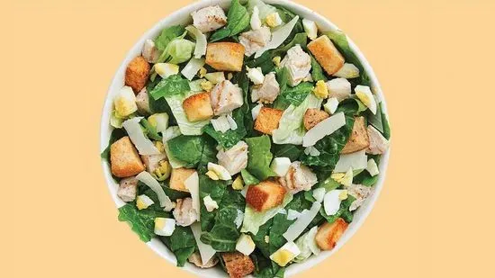 Grilled Chicken Caesar Salad