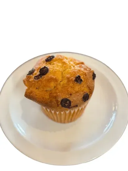 Cranberry Muffin