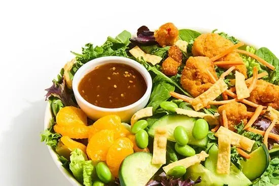 Asian Crispy Chicken Salad