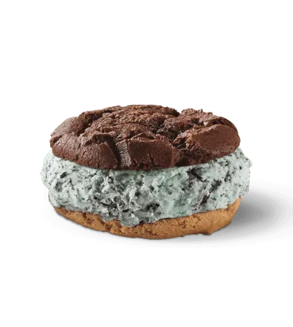 Single Warm Cookie Ice Cream Sandwich