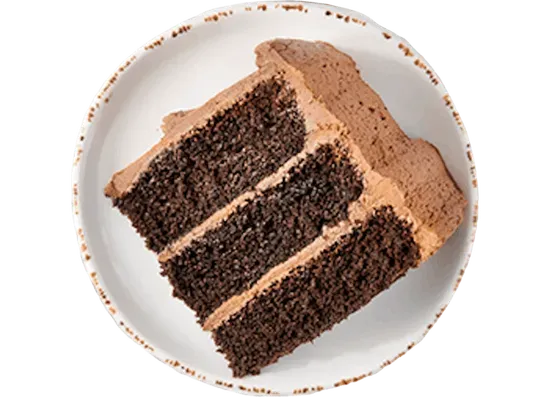 Chocolate Cake Slice