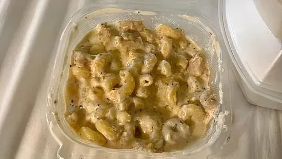 Lunch Chicken Alfredo